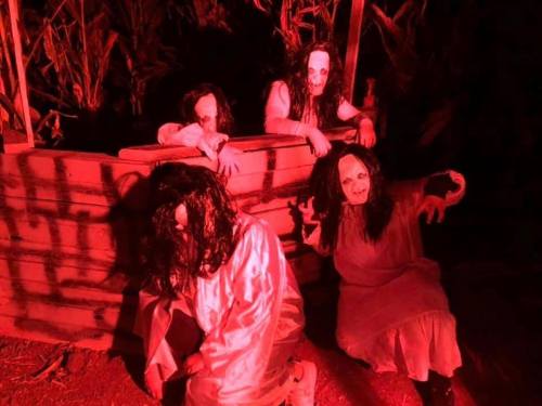 Four eerie figures with long hair and pale faces, dressed in tattered clothing, pose in a dimly lit, red environment.