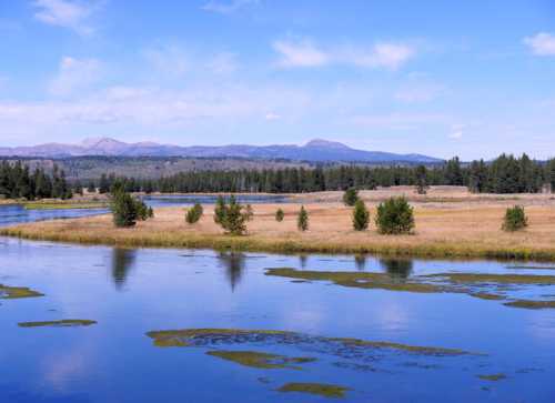 A serene landscape featuring a calm river, grassy banks, and distant mountains under a clear blue sky.