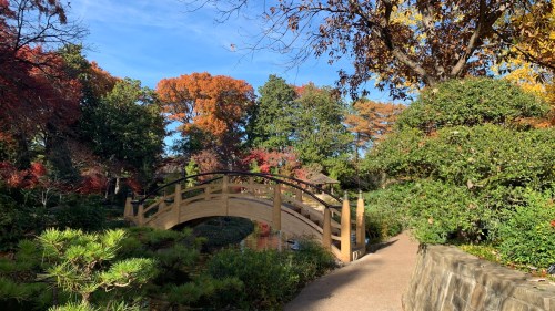 A wooden bridge arches over a path in a vibrant park with colorful autumn foliage and clear blue skies.