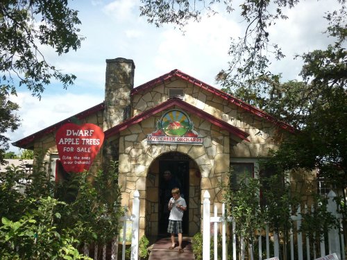 A stone building with a red roof and sign reading "Dwarf Apple Trees for Sale" surrounded by greenery. A child stands outside.