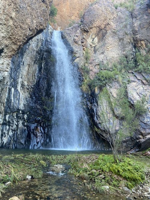 A serene waterfall cascading down rocky cliffs into a tranquil pool, surrounded by lush greenery.