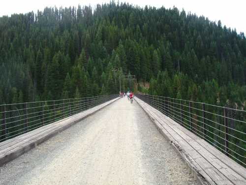 A gravel bridge stretches over a forested area, with cyclists riding in the distance among tall green trees.