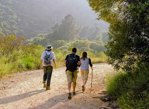 Three hikers walking along a dirt path surrounded by greenery and trees in a mountainous area.