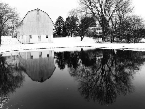 A snowy landscape featuring a white barn and trees reflected in a dark pond, creating a serene winter scene.