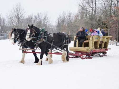 A horse-drawn sleigh carries passengers through a snowy landscape, surrounded by trees.