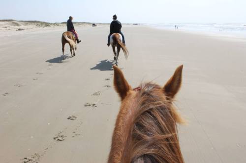 Two riders on horseback walking along a sandy beach, viewed from the perspective of the horse in the foreground.