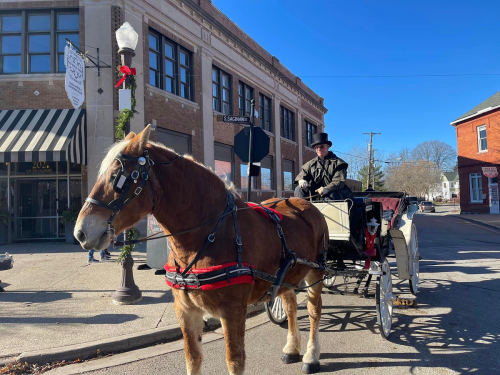 A horse-drawn carriage with a driver in a black coat, parked on a street with buildings and clear blue sky in the background.