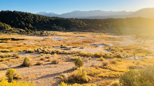 A serene landscape featuring golden grasslands, distant mountains, and a warm sunset glow.