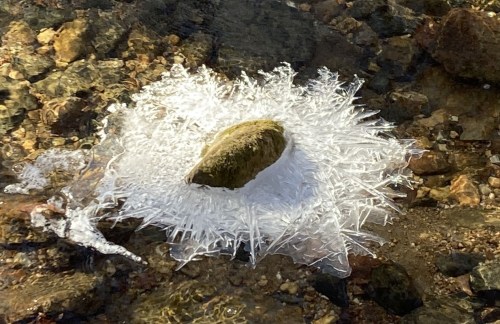 A rock surrounded by intricate ice formations in a shallow stream.