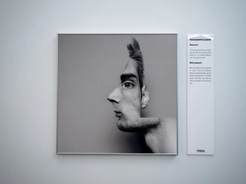 A black and white artwork depicting a distorted human face, displayed on a gallery wall with an information plaque.