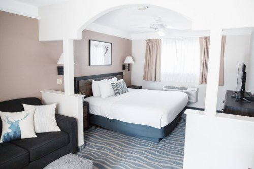 A cozy hotel room featuring a king bed, sofa, TV, and natural light from a window with curtains.