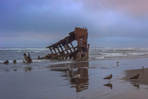 A shipwreck partially submerged on a beach, with seagulls nearby and waves gently lapping at the shore.