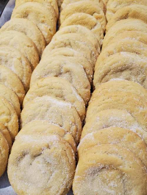 A close-up of freshly baked, golden sugar cookies lined up on a tray, dusted with sugar.