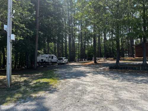 A gravel road leads through a wooded area with a parked RV and a car, surrounded by trees and picnic tables.