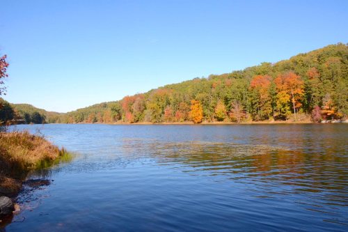A serene lake surrounded by trees displaying vibrant autumn colors under a clear blue sky.