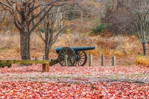 A historic cannon sits among colorful autumn leaves, surrounded by trees in a serene park setting.