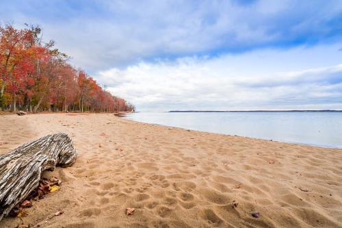 A sandy beach with autumn trees lining the shore under a cloudy sky, reflecting calm water.