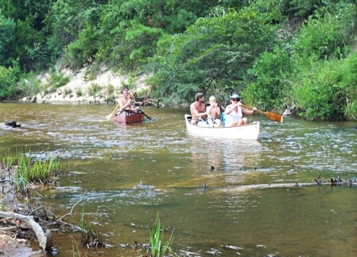 Three people canoeing on a calm river surrounded by lush greenery.