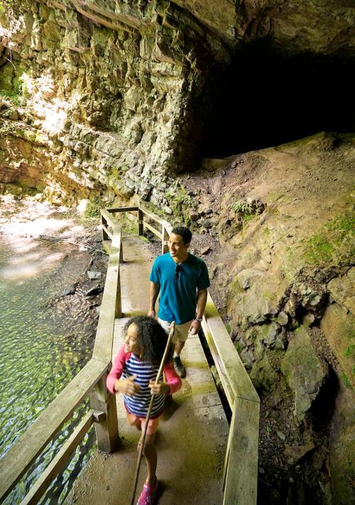A man and a girl walk along a wooden path near a cave entrance, surrounded by lush greenery and water.