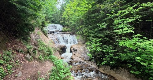 Lush greenery surrounds a beautiful waterfall in Michigan.