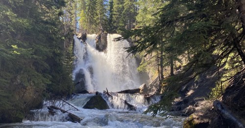 A waterfall in Montana appears out of a forested area.