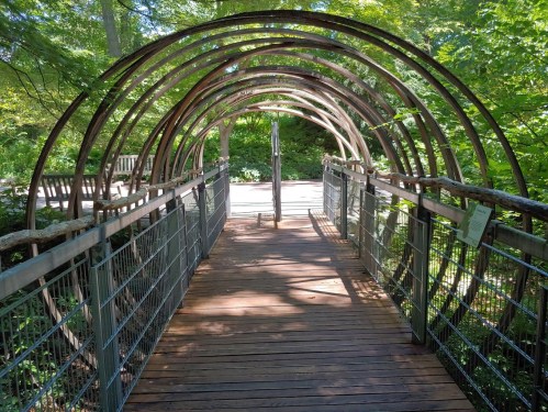 A wooden bridge with a curved metal archway, surrounded by lush greenery and trees.
