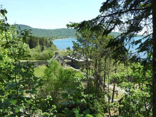 A scenic view of a lake surrounded by trees, with a rustic building nestled in the greenery.