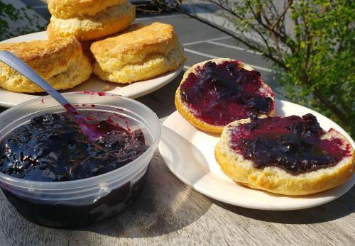 Freshly baked biscuits on a plate, with one split open and topped with blueberry jam in a container nearby.