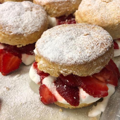 Freshly made strawberry shortcakes dusted with powdered sugar, featuring layers of strawberries and whipped cream.