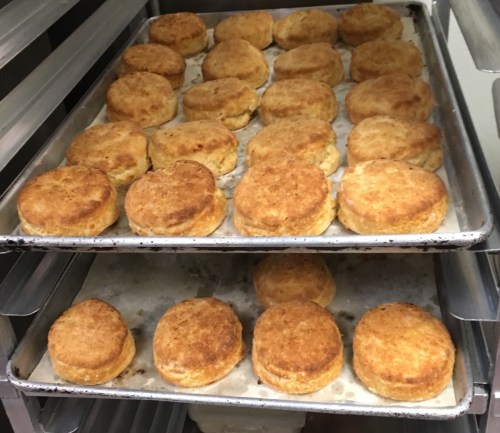 A tray of golden-brown biscuits arranged neatly on two stacked baking sheets.