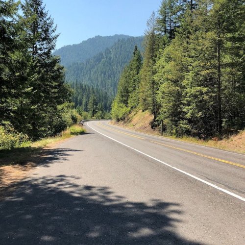 A winding road through lush green trees, with mountains in the background under a clear blue sky.