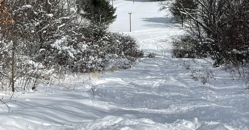A snowy path winding through trees, leading to an open field in a winter landscape.