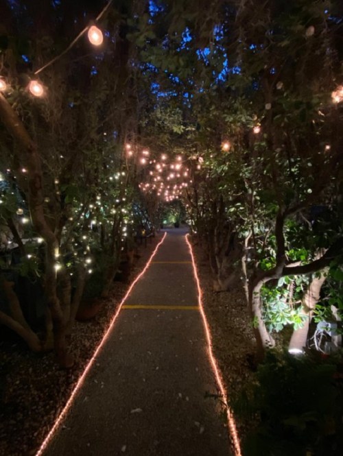 A dimly lit pathway lined with trees, adorned with string lights, creating a magical atmosphere at dusk.