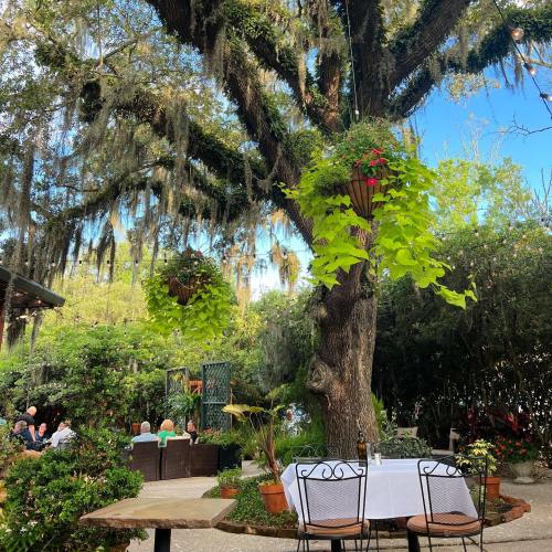 A lush outdoor dining area with hanging plants, a large tree, and guests enjoying their meals in a serene setting.