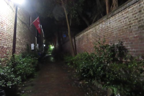 A dimly lit alleyway lined with brick walls and greenery, featuring a flag hanging on one side.