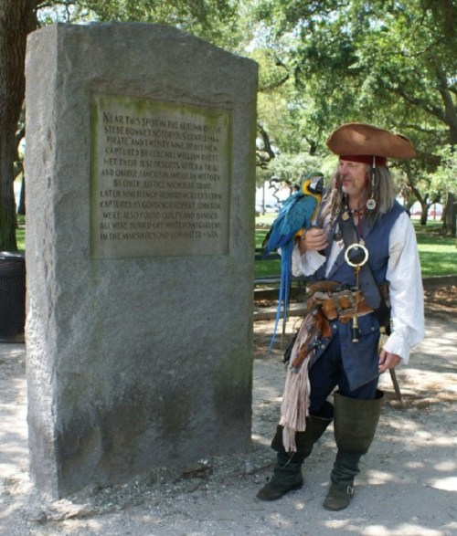 A pirate in costume stands beside a stone monument, holding a parrot, in a park setting with trees.