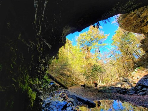 A person and a dog stand near a rocky cave entrance, surrounded by lush greenery and a clear blue sky.
