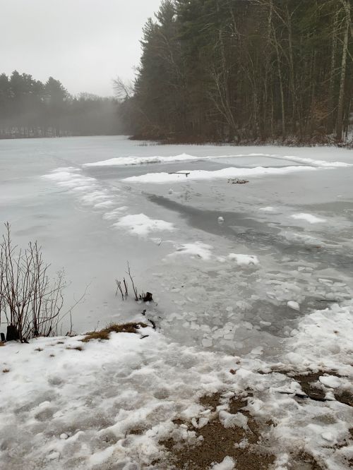 A foggy landscape featuring a frozen lake surrounded by snow and trees, with patches of ice and bare ground visible.