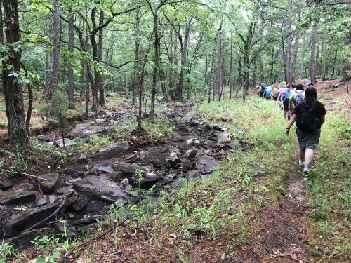 A group of hikers walks along a forested trail beside a rocky stream, surrounded by lush greenery.