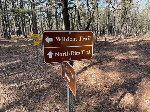 Trail signs in a wooded area indicating directions for Wildcat Trail and North Rim Trail.