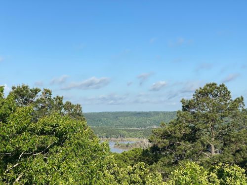 A scenic view of a lush green landscape with trees and a river under a clear blue sky.