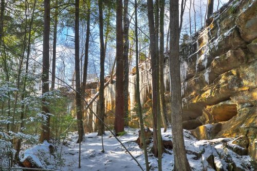 A snowy forest scene with tall trees and a rocky cliff, featuring icicles hanging from the rocks.