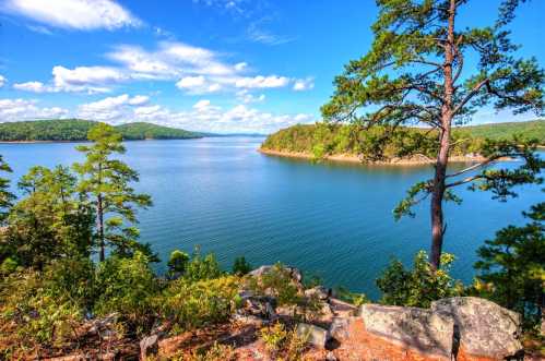 A serene lake surrounded by lush greenery and trees under a bright blue sky with fluffy clouds.