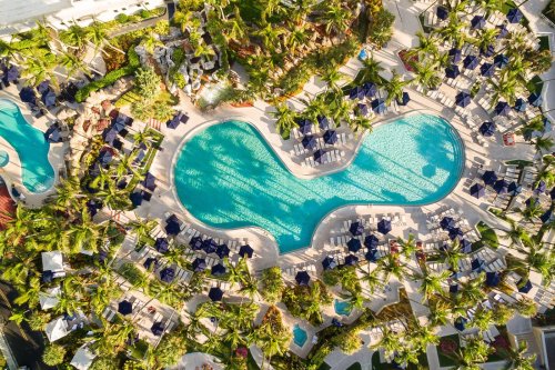Aerial view of a resort pool surrounded by palm trees and lounge chairs, with umbrellas providing shade.