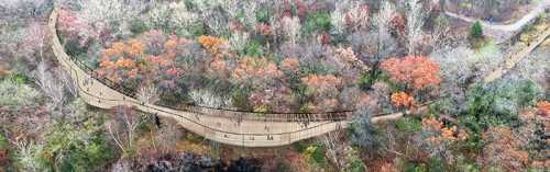 Aerial view of a winding wooden walkway through a colorful forest in autumn.