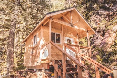 A small wooden cabin on stilts surrounded by trees in a forested area.