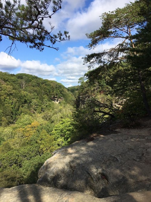 A scenic view of a lush green valley surrounded by trees under a partly cloudy sky.