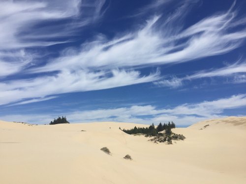 A vast sandy landscape under a blue sky with wispy clouds and a few scattered trees in the distance.