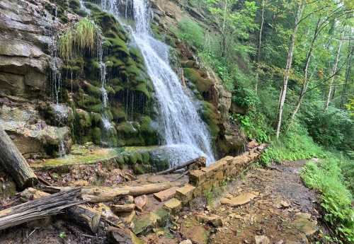 A serene waterfall cascades over moss-covered rocks, surrounded by lush greenery and a winding dirt path.