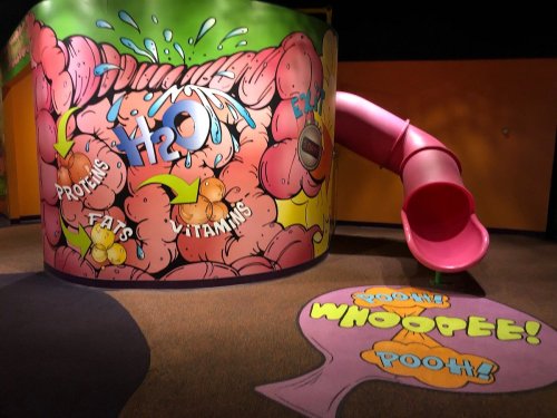 Colorful interactive exhibit featuring a slide and playful graphics about water, proteins, fats, and vitamins.
